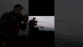 Where is the Atlantic Bonito (Plamtu) #fishing #jigging #bonito #verticaljigging #maltafishing