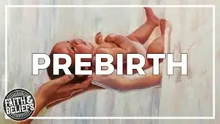 Существовал ли я до рождения? Эпизод 12