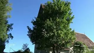 Friedhof - M&ouml;ssingen - Talheim