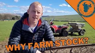 Why Farm Stock?