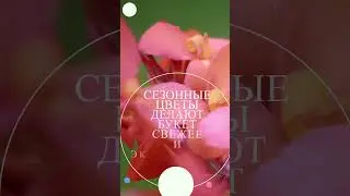 Монохромные букеты 2025: языковая символика цветов #shorts