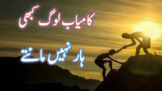 Successful People Never Give Up | Beautiful Quotes In Urdu | Best Urdu Quotes On Life | Aqwal zareen