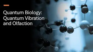 Quantum Biology: Quantum Vibration and Olfaction