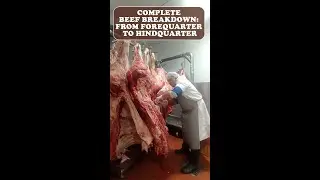 Beef Breakdown: From Forequarter to Hindquarter