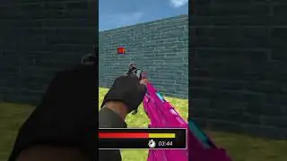 Counter Strike Gameplay