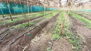 AGRO RANGERS Multilayer Organic Farm Video