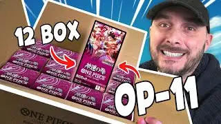 DES CARTES PARALLÈLES DE FOU 😍 (Carton OP11 Case)