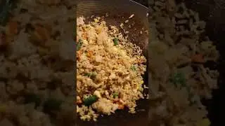 Fried Rice Burrito