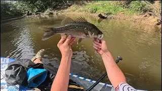Aussie Bass Fishing Off A Paddle Board