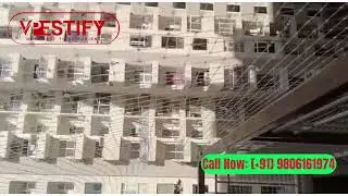 Pigeon Net Installation in Noida | Anti Bird Net For Balcony | Pigeon Control Services in Delhi-NCR