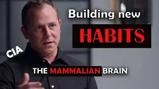 Building New HABITS: The Mammalian Brain - CIA Expert.