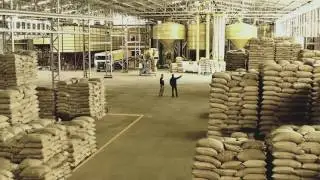 Cafeeira Masson - História