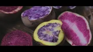RUTA DE LA PAPA CONDORCCOCHA / AYACUCHO - PERÚ (Official Video)