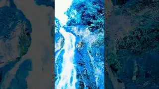uski waterfall, similipal😍 #shortsfeed #viral #similipalnationalpark #nature #touristplace #song