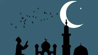 On Your Path | Nasheed About Prophet Muhammad ﷺ [OFFICIAL VIDEO]