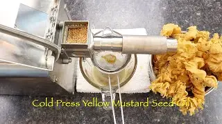 Cold Press Yellow Mustard Seed Oil