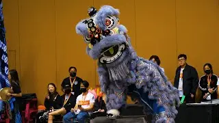 2021 Phoenix Wushu Nationals + USDLDF Lion Dance Championships 2 Houston Lion Kings Team Blue GH5 II