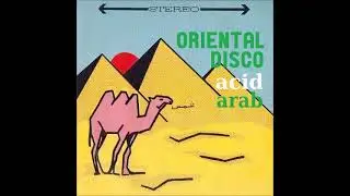 Various &ndash; Oriental Disco & Acid Arab : 70&rsquo;s 80&rsquo;s Funk/Soul Groovy Electronic Music Album Collection