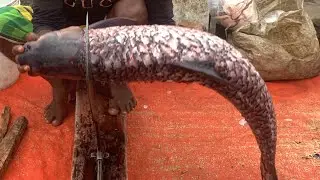 I never seen ll amazing big gresscarp fish cutting live skills by expert fish cutter in Fishmarket 