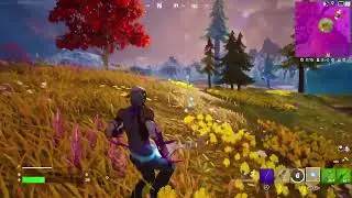 First Kill Won The Game. Fortnite Solo.
