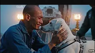 Askal story - Laika the space dog
