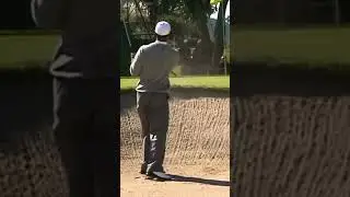 TIGER WOODS BUNKER SHOT