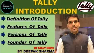 What is Tally ERP.9 in English