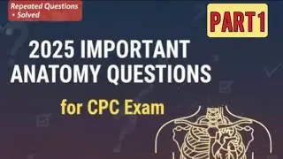 Anatomy CPC Exam:Important &Most Repeated Questions and Answers #shorts #cpcexam #medicalcoding 