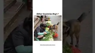 Other Countries Vs Indian Country Dogesh Bhai 😂#shorts #shortvideo