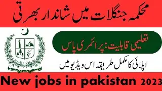 New jobs in Forest department 2023 | forest department jobs 2023&24