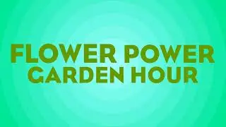 Flower Power Garden Hour 210: Top 10 Money Wasters