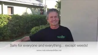 Natural Weed killer and Florida friendly lawns in Port St. Lucie.