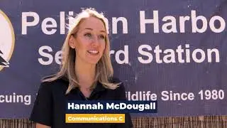 Make a great corporate video for your business