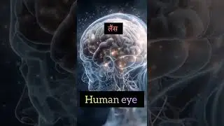 The Human Eye and its Parts #gk #new#facts