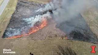 Wind's influence on fire behavior - Prescribed burning basics