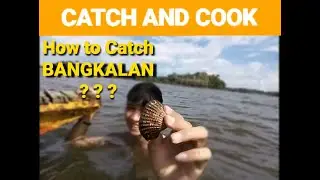 Catch and cook, Bangkalan