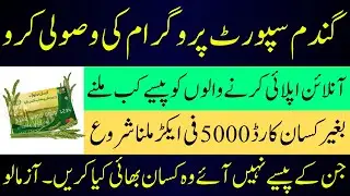 Wheat Subsidy Update Rs: 5000Acre Payment Date for Online Applications - Whear Support Program 2025