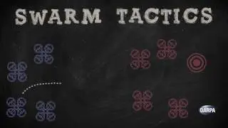 Service Academies Swarm Challenge: Game Play and Challenges
