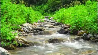 Beautiful Enchanted River Scene with Gentle Water Flow