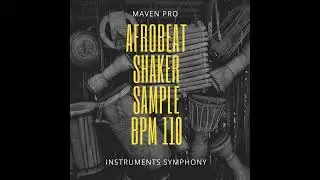 Afrobeat shaker sample 110