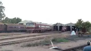 Pichi Richi Rail Fan Weekend 2014: Commonwealth Railways Diesel Line Up