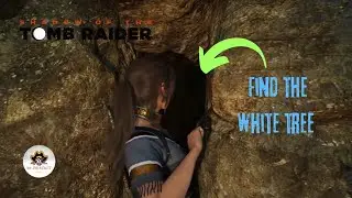 Shadow of the Tomb Raider | Найти амулет Спасителя: «Найти Белое Древо»