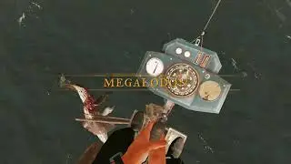 Megalodon | Stranded Deep