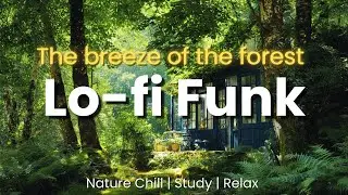 Forest Lo-fi Funk 🌿 Acoustic Guitar Chill | Study, Relax & Nature Vibes (24 Tracks Playlist)