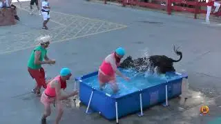 Tv Marcilla - 26/08/2022 - Fiestas - Charlotada