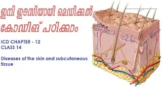 ICD- 10-CM chapter 12 diseases of the skin and subcutaneous tissue