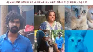 പൂച്ചകുഞ്ഞുങ്ങളോടെ കായംകുളം മുനിസിപ്പാലിറ്റിയുടെക്രൂരത #KAYAMKULAM #muncipality #KERALA #24TIMEMEDIA