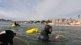 Luna, Platon et Navy rapport de la bou&eacute;e