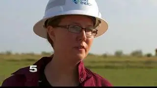 Energy Company Develops Ultrasonic Device to Keep Bats Away from Texas Windfarms