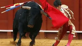 Do Bulls Hate Red?